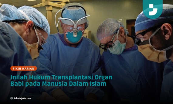 Inilah Hukum Transplantasi Organ Babi pada Manusia Dalam Islam